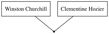 Family Tree 1788675454292374346.png