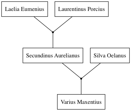 Family Tree -9223372036567721023.png